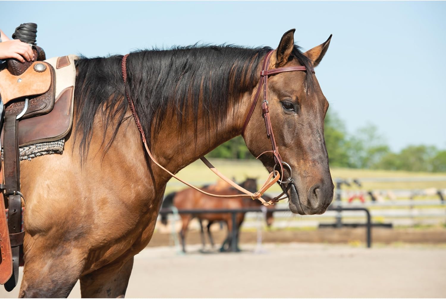Weaver Leather Latigo Leather Browband Headstall,Burgundy