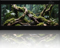 20 Gallon PVC Reptile Enclosure, RepWild 24"x18"x12" Terrarium/Tank with Heavy-Duty Screen Top, Glass Sliding Doors &