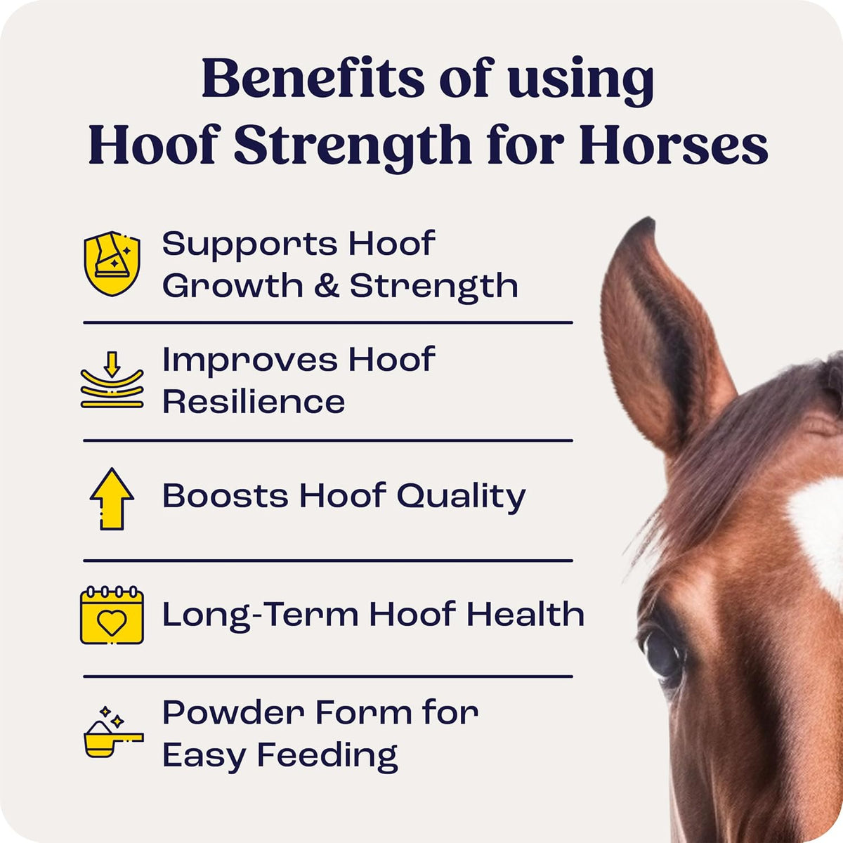 Summit Equine Hoof Strength Powder for Horses, Promotes Healthy Hooves with Biotin, Amino Acids, and Minerals, Horse