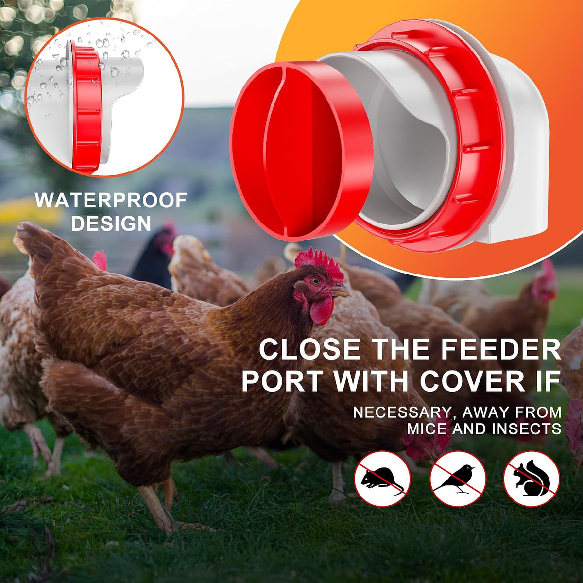 Chicken Feeders No Waste, DIY Automatic Poultry Feeder - 4 Ports Red