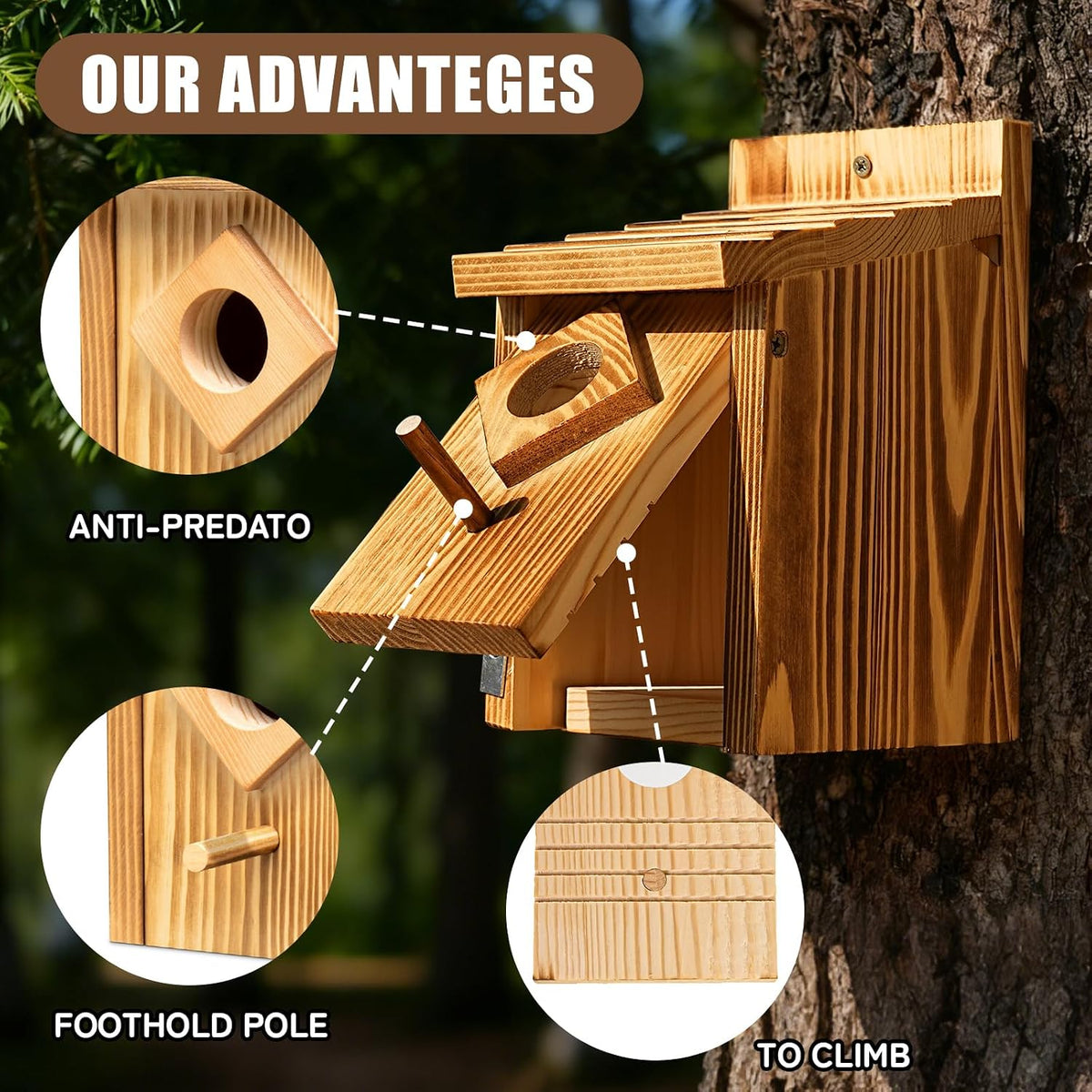 Waterproof Wooden Blue Bird House, Weather-Treated Bird Box for Outdoors