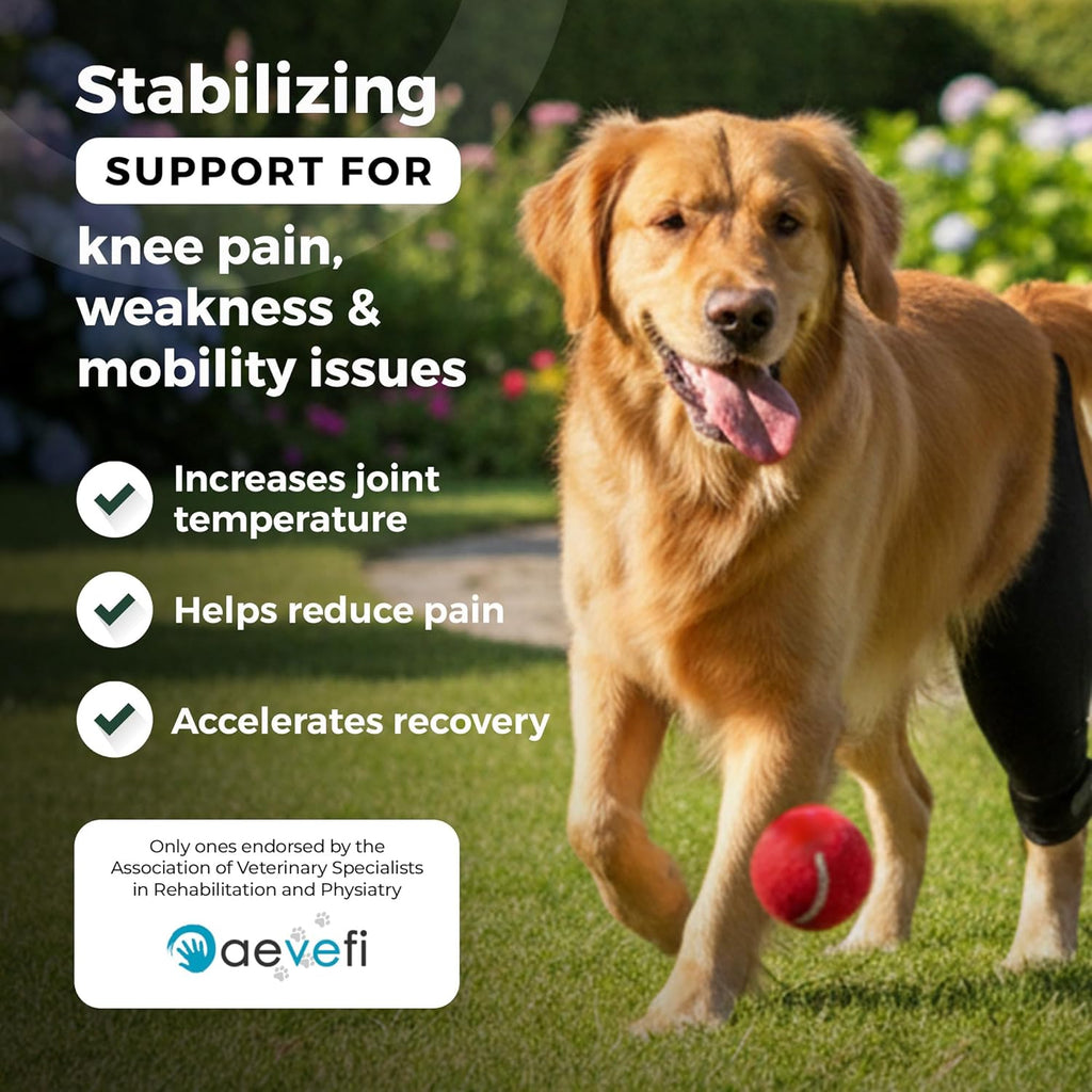 Dog Knee Brace for Hind Leg Support – Flexible Neoprene Knee Brace for Dogs with Joint Instability, Torn ACL, Limping
