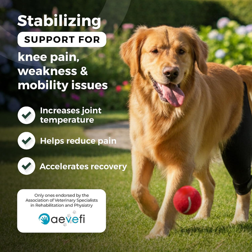 Dog Knee Brace for Hind Leg Support – (Small, Left Leg)