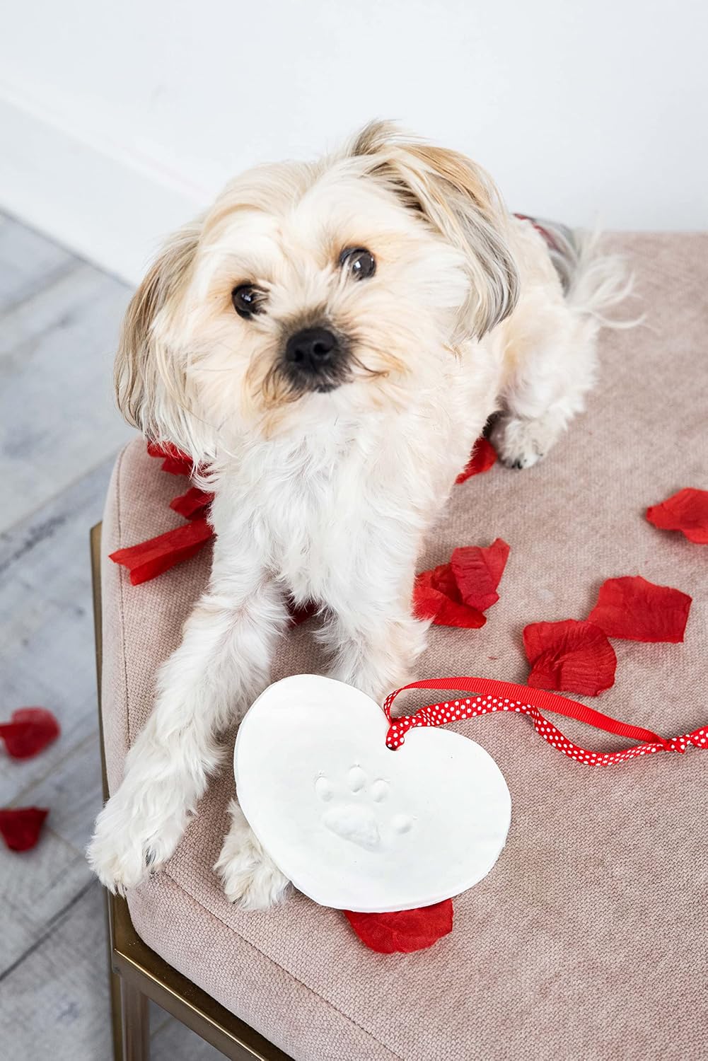Heart Paw Print Keepsake Kit, DIY Keepsake Kit