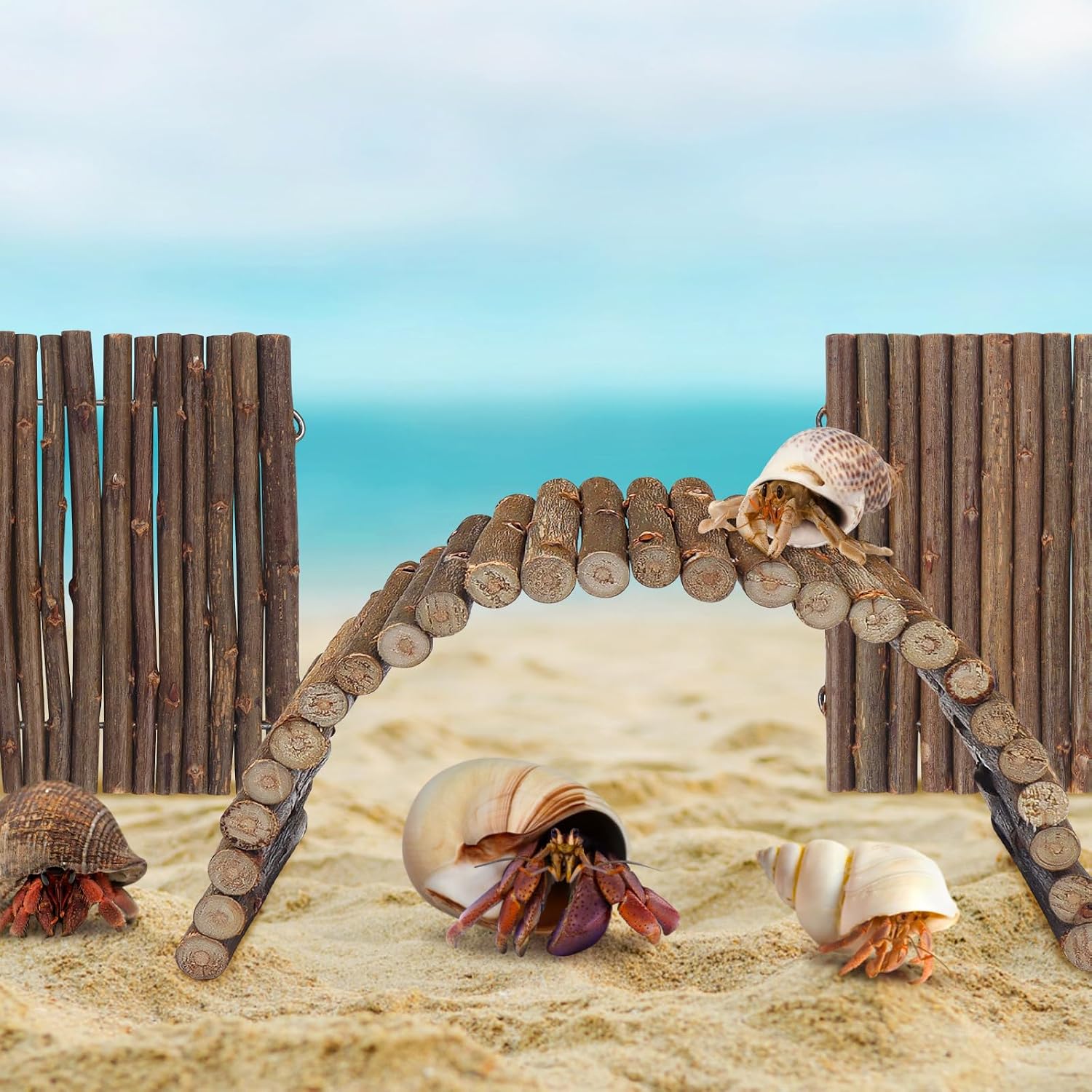 2PCS Reptile Hideout Hermit Crab Bendable Bridge, Wooden Hermit Crab Hideout Climbing Toys, Reptile Tank Habitat