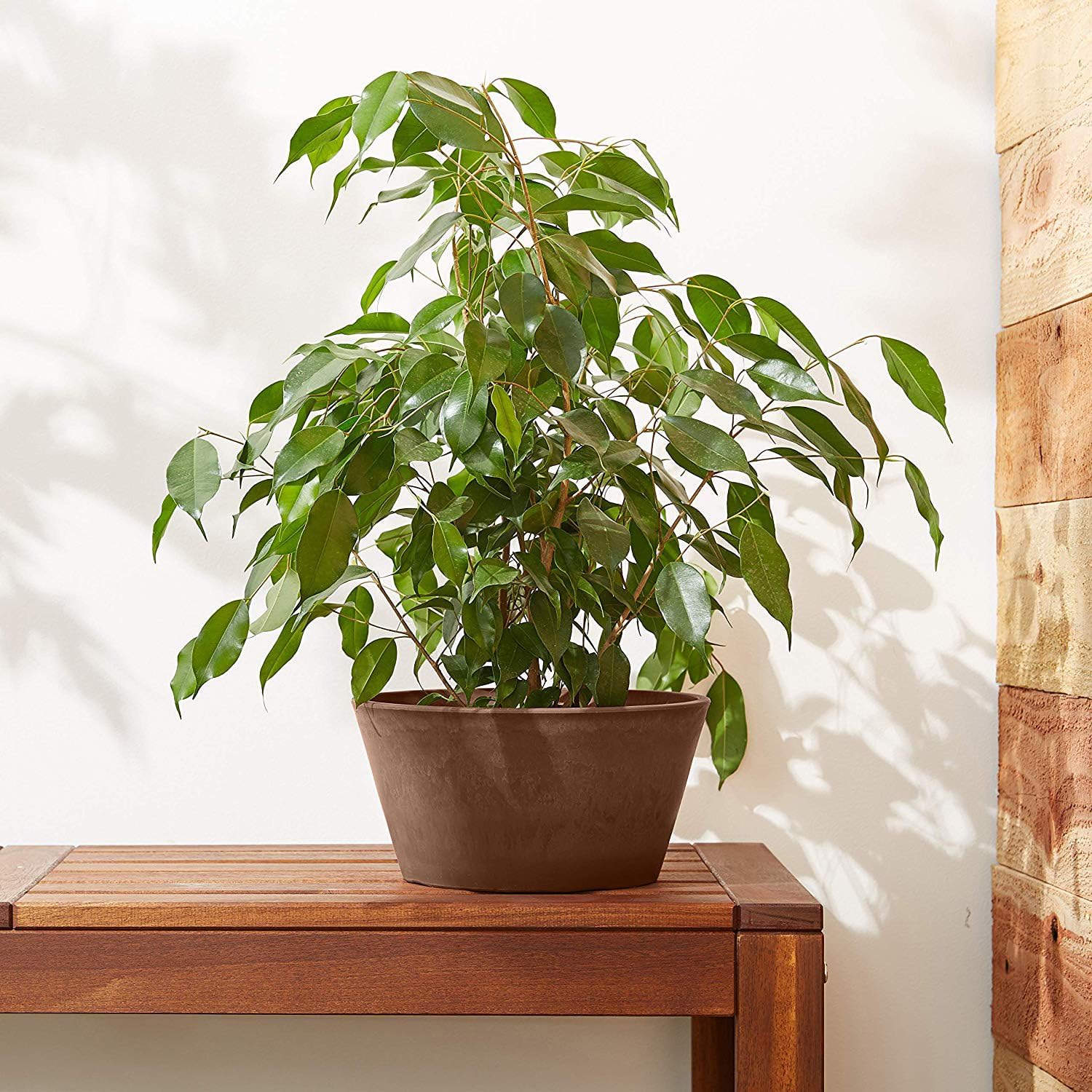 PSW Pot Collection TD25C Plastic/Stone/Wood Composite Shallow Bulb Pan - No Drainage Hole (Drillable), Planter for