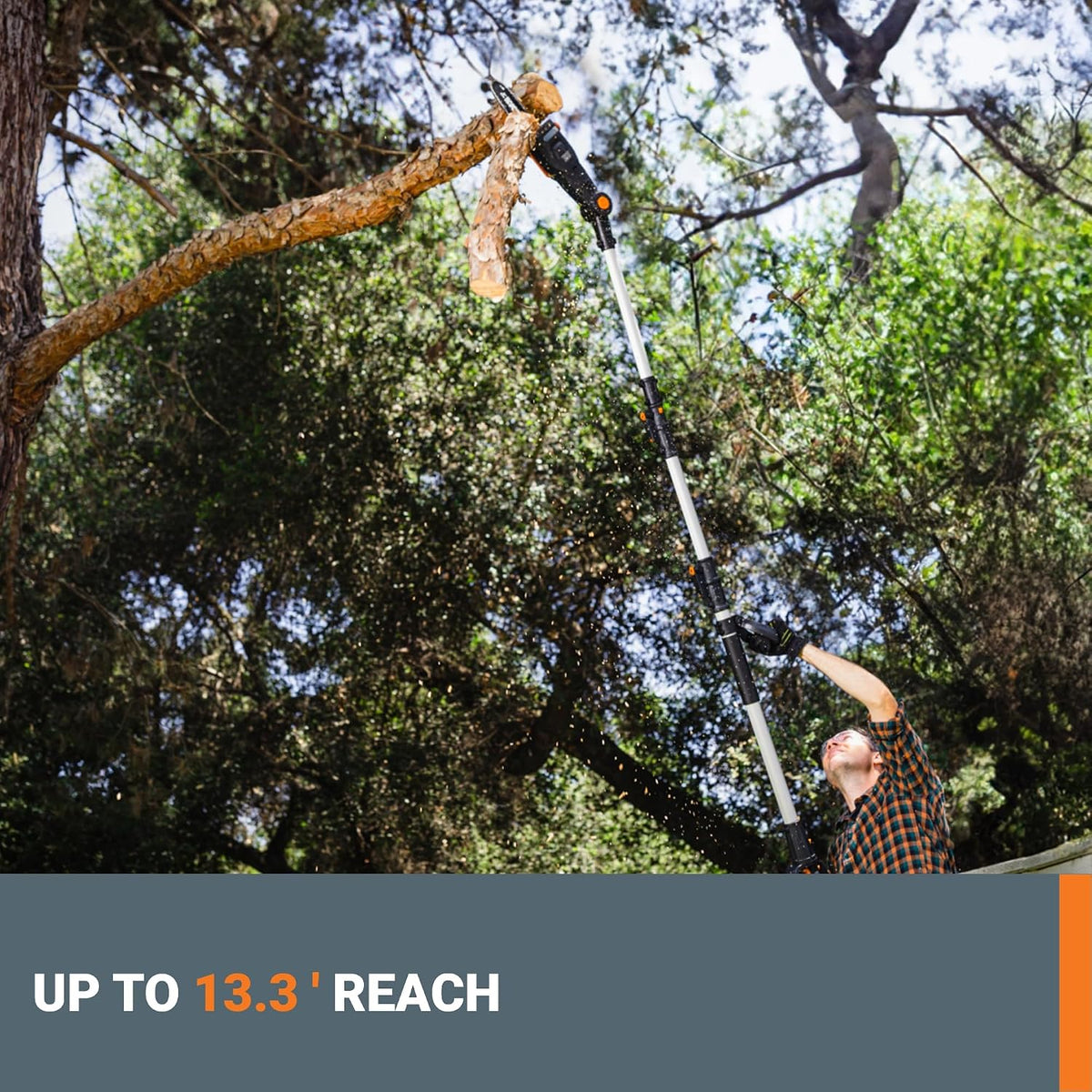 Cordless Pole Saw, 20V 8" Chainsaw, WG349.9 | Battery & Charger not Included, PowerShare, Up to 13.3 ft Reach; Weighs