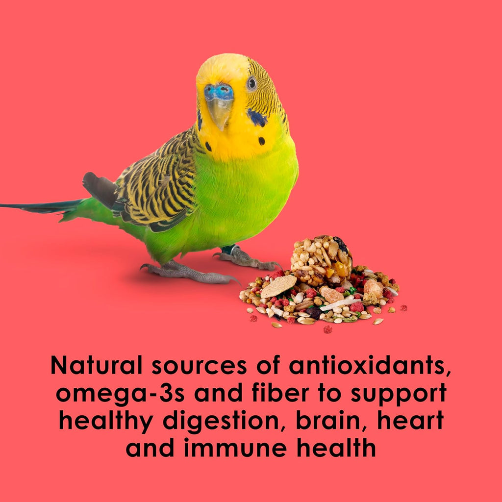 Fiesta Parakeet Food, Nutritious and Fun Blend, 2 Pounds | More foraging fun. Small bird food with shapes and