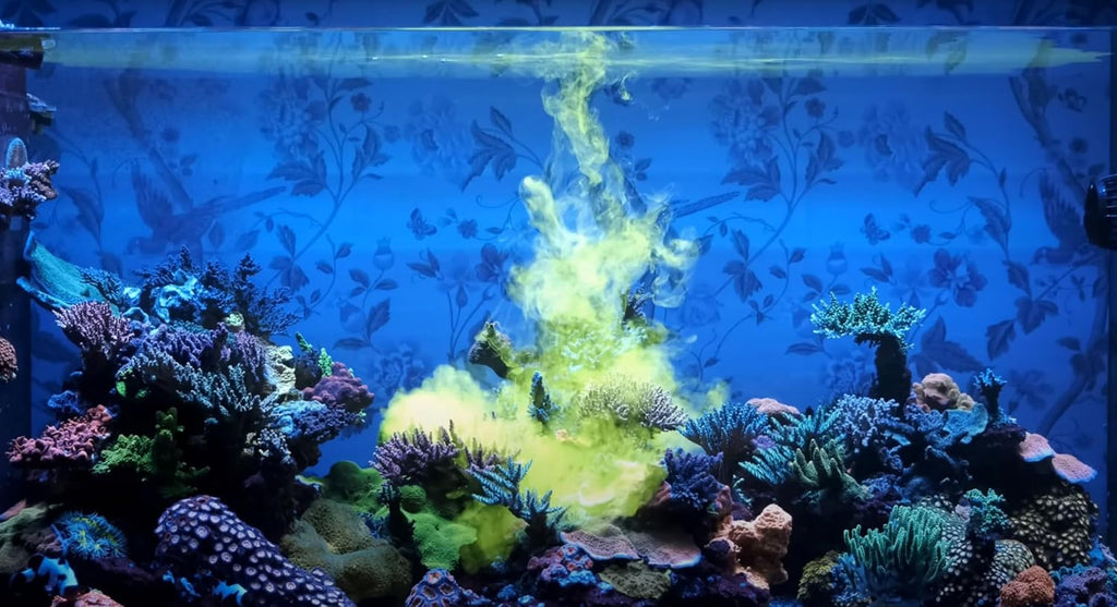 Reef Energy Plus 500ml (AB+) All in One Coral Food for Saltwater Aquarium Marine Reef Tanks | Food for Soft, LPS