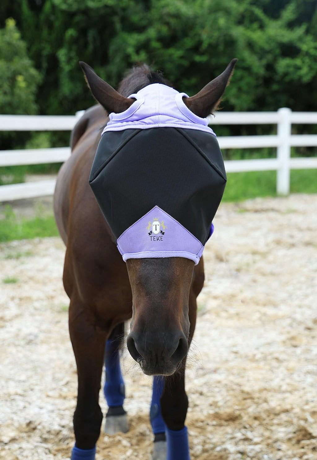 Fine Mesh Horse Fly Mask w/No Ears, UV Blocking 3D Eye Visor with Extra Fleece Cushioned Forehead, Protection from