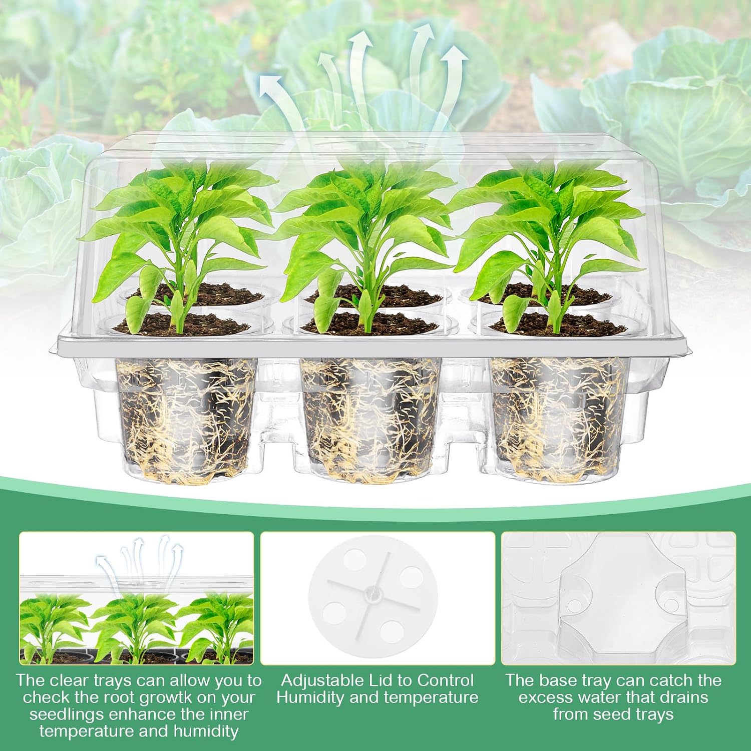 10 Pack Seed Starter Tray Kit Seedling Starter Trays with 60 Pcs 4 Inch Nursery Pots and Humidity Dome (60 Cells)