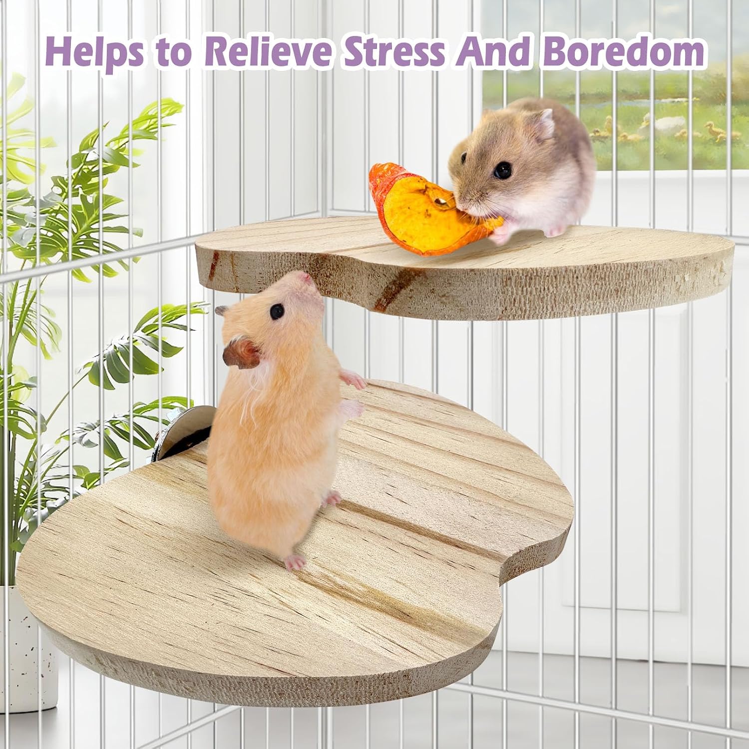 4PCS Wooden Hamster Cage Platform Set Bird Wood Platform Flat Bird Perch Hamster Rat Gerbil Mice Cage Accessories