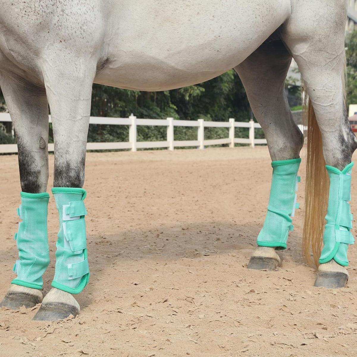 Horse Fly Boots Set of 4, Breathable Mesh Fly Boots for Horses