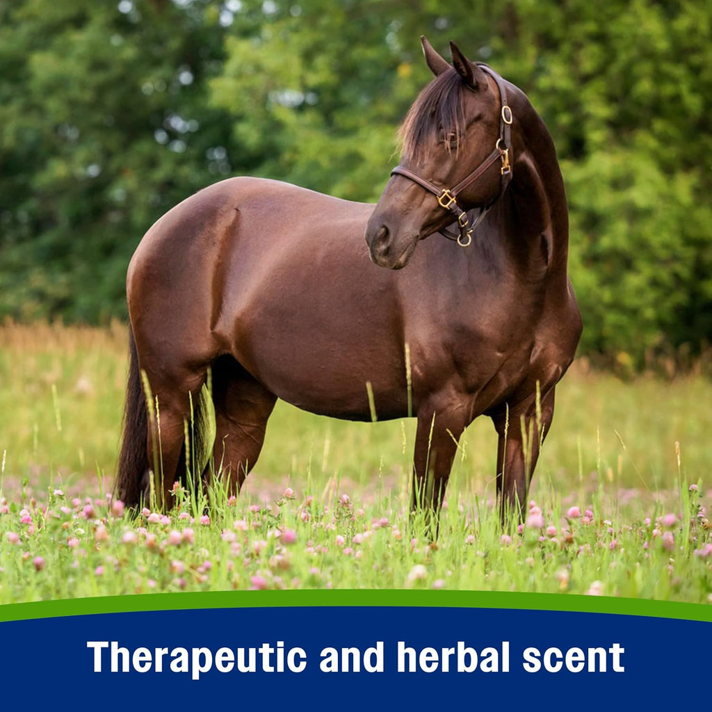 Equisect Water-Based Botanical Fly Repellent for Horses, 32 oz