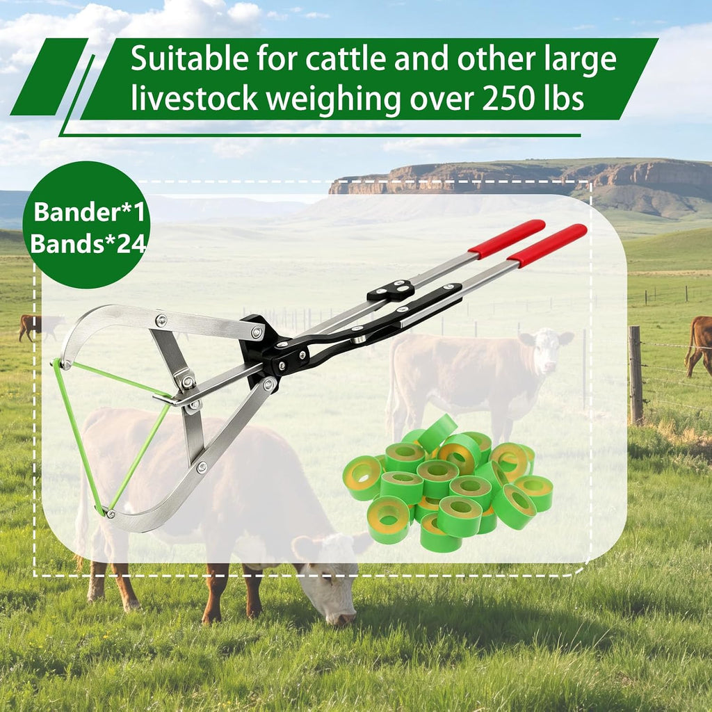 Extra Large Cattle Banding Tools with a Bander and 24pcs Large Bands