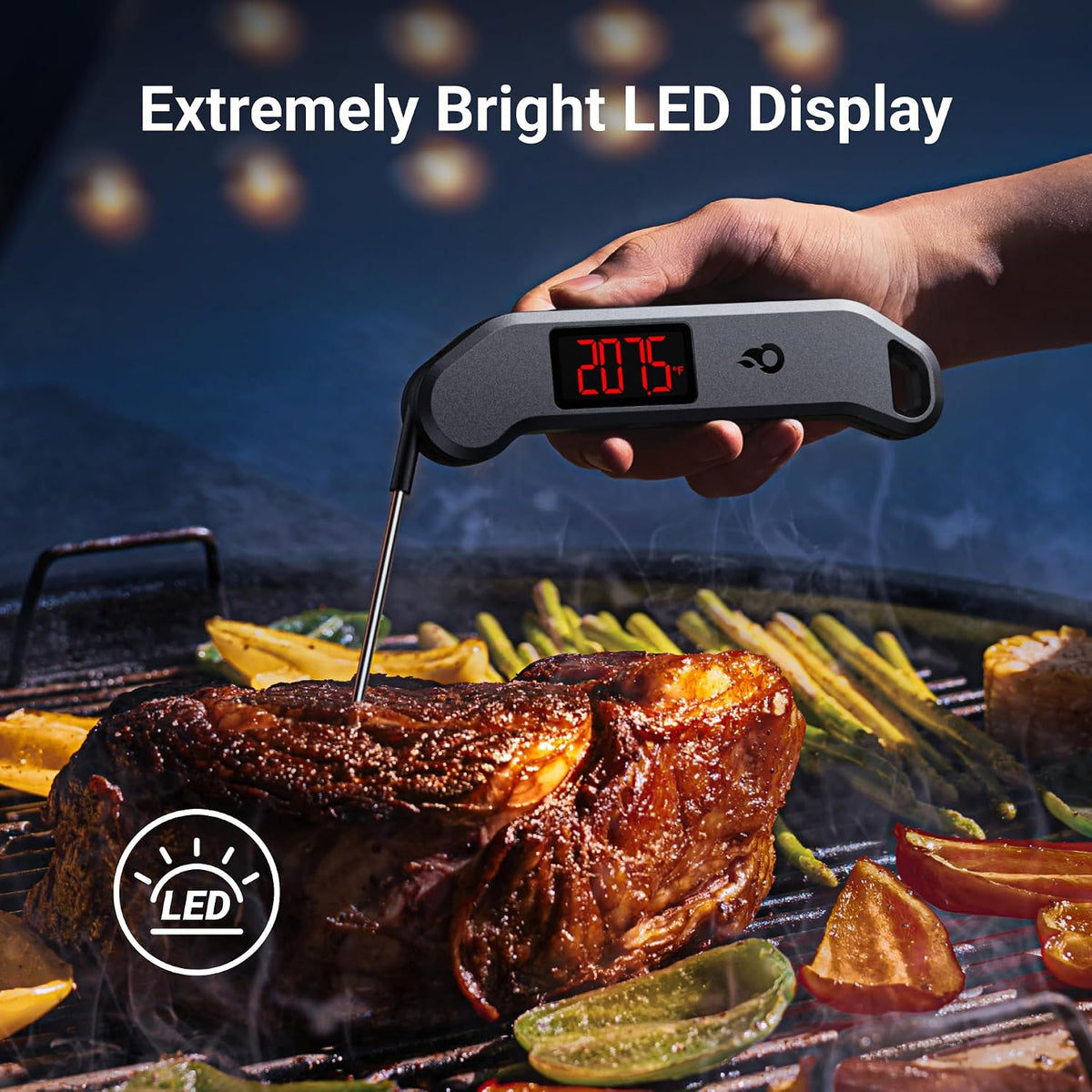 1 Sec Professional Digital Meat Thermometer, ±0.5℉ Accuracy