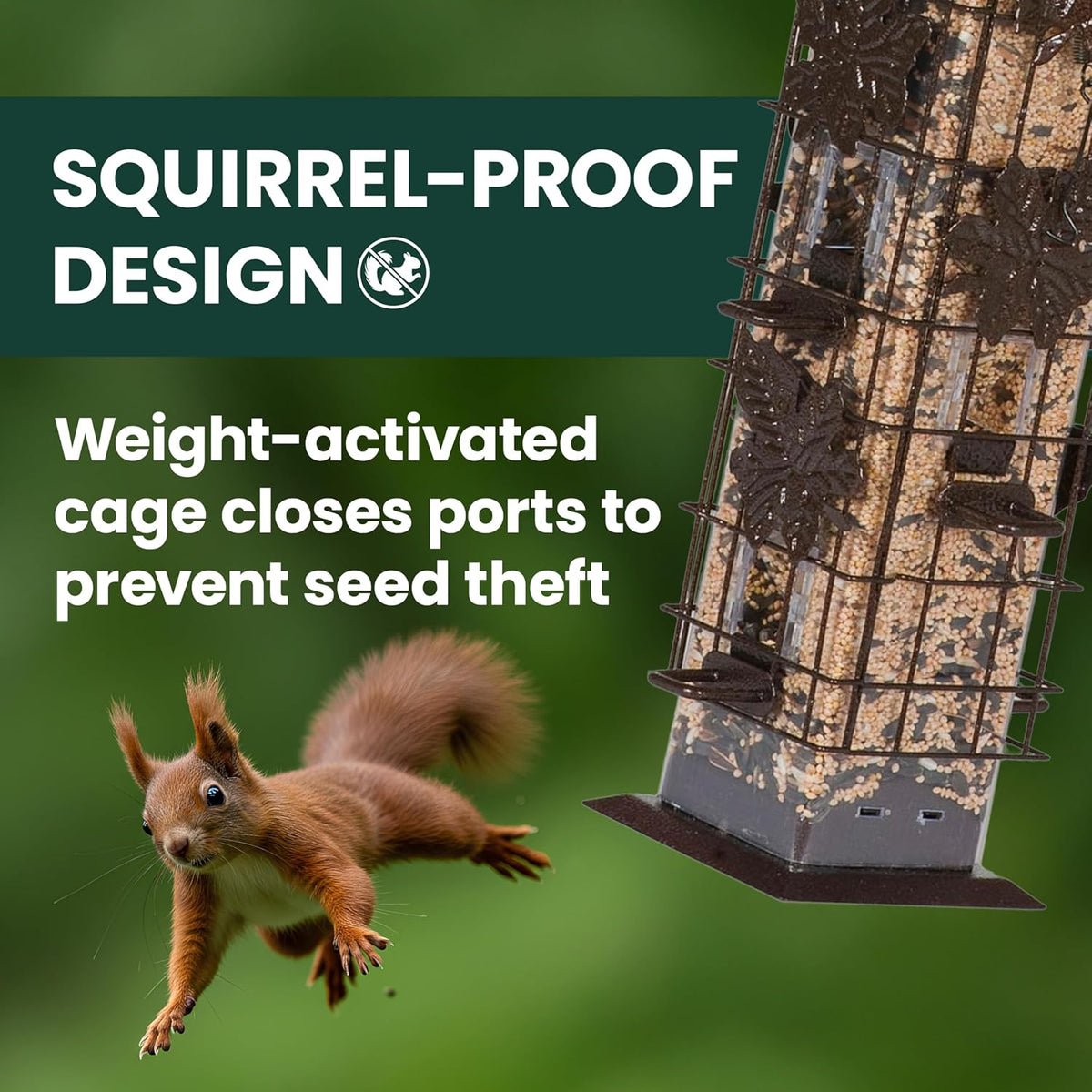 Squirrel-Be-Gone Bird Feeder, 2 lb Seed Capacity