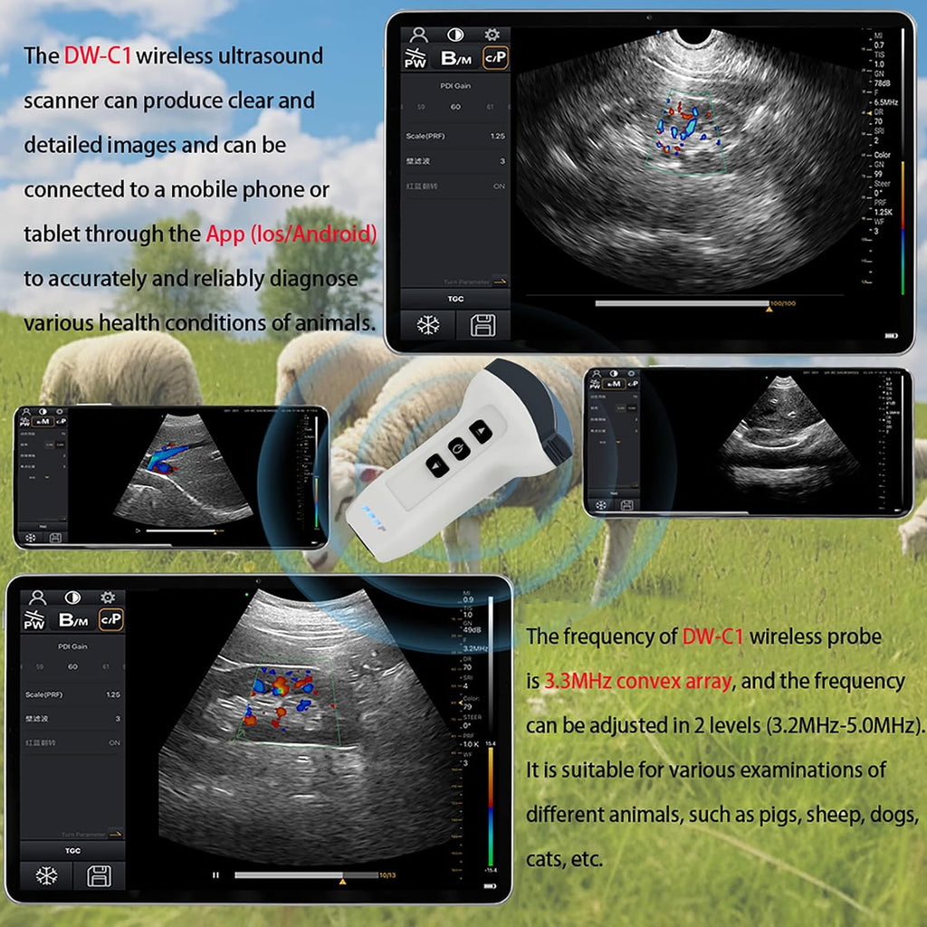 Convex Probe Veterinary Color Doppler Ultrasound Machine, Wireless Handheld Scanner for Pregnancy & Organ Exam in Dog