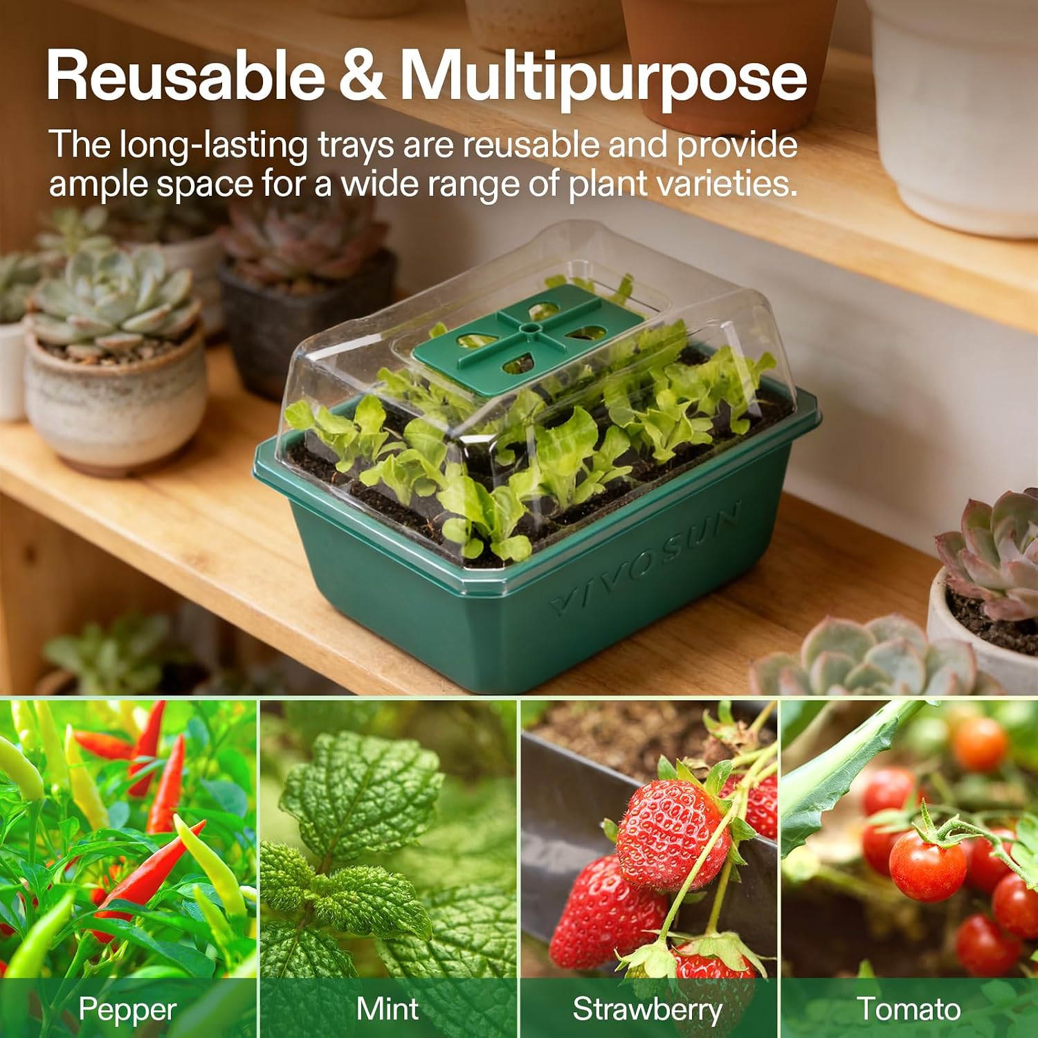 VIVOSUN 6-Pack Seed Starter Trays, 72-Cell Starter Kit with Humidity Dome | Flat Reusable Plant Germination Trays