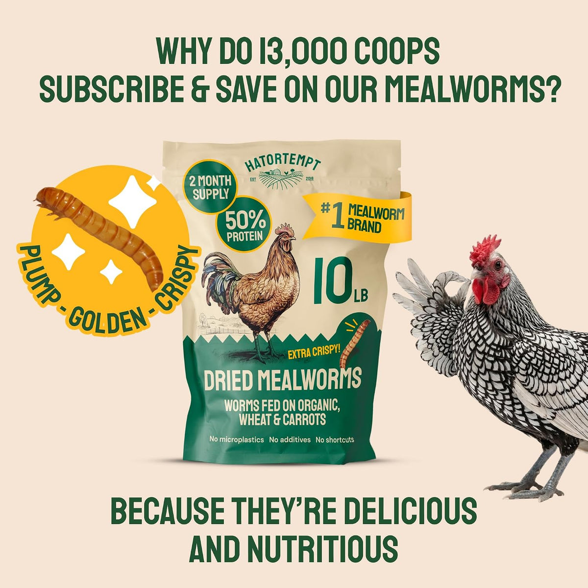 10lb Dried Mealworms for Chickens & Wild Birds, Chicken Feed