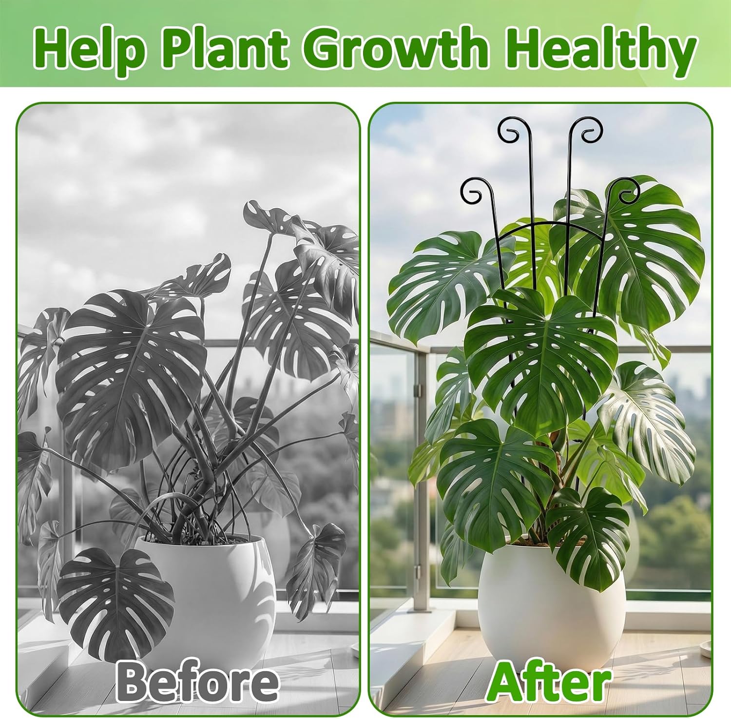 Monstera Plant Support - 32.6 Inch Tall Trellis with 2 Pack Plant Stakes for Your Large Climbing Monstera Deliciosa |