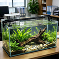 10 Gallon Glass Fish Tank, Easy to Maintain Small Aquarium for Betta/Shrimp and Aquatic Planting.