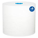 Professional Hard Roll Paper Towels, Bulk, 6 Rolls x 700' (25637)