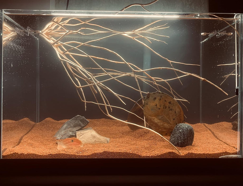 11lb Natural South American Rainforest Sand, Aquarium red Sand, Lava Rock Soil, Red Lava Rock Sand, Succulent Sand