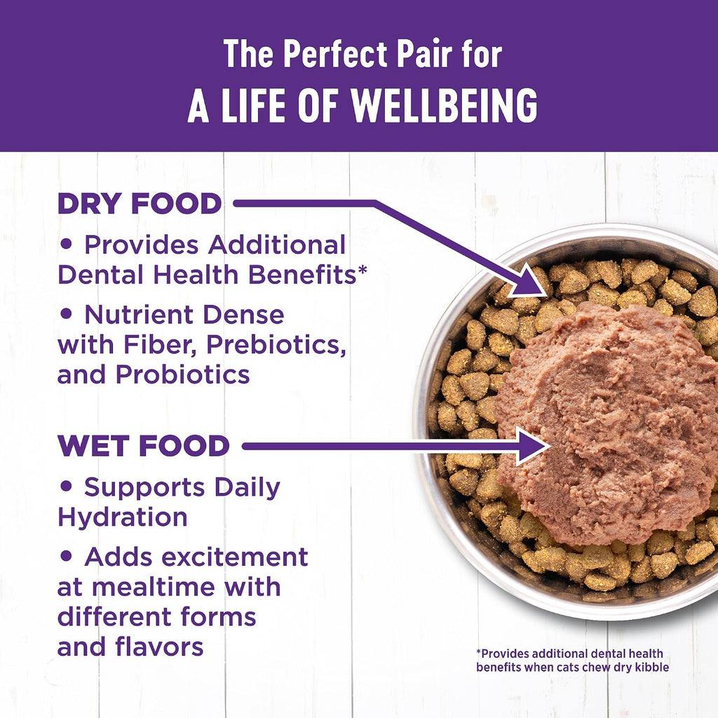 Complete Health Kitten Dry Cat Food, Natural, Wholesome Grains Kibble, Turkey, Turkey Meal and Chicken Recipe, 5 lb Bag