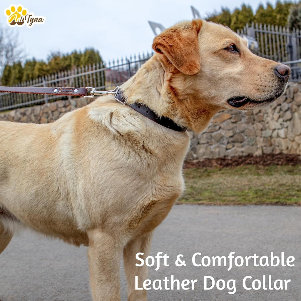 Classic Leather Dog Collar for Large Dogs, Adjustable 19-24"