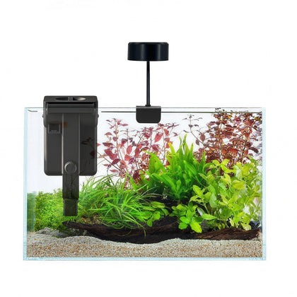 Fish Tank Starter Kits, Low Iron Glass Aquarium with Filter, Led Light for Aquascape DIY Small Betta Fish Tank (6