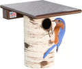 Pole Mount Gilbertson Bluebird House with Removable Base, Durable Weatherproof Birdhouse Blue Bird Nesting Box for
