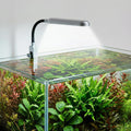 Slim Clip-On Aquarium Light 360° Adjustable LED Fish Tank Light for 1-5 Gallon Tanks, Enhances Fish Colors and
