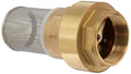 Dixon BVFS25 Brass Hose Fitting, Strainer with Spring Loaded Check Valves, 2" Size