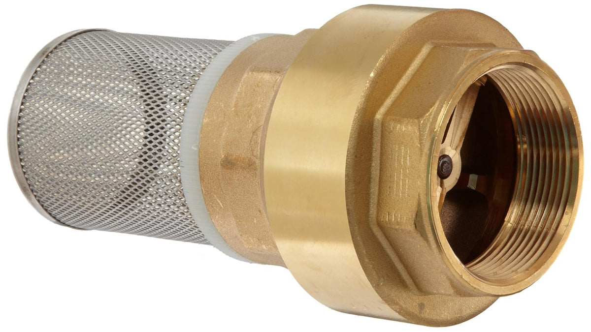 Dixon BVFS25 Brass Hose Fitting, Strainer with Spring Loaded Check Valves, 2" Size