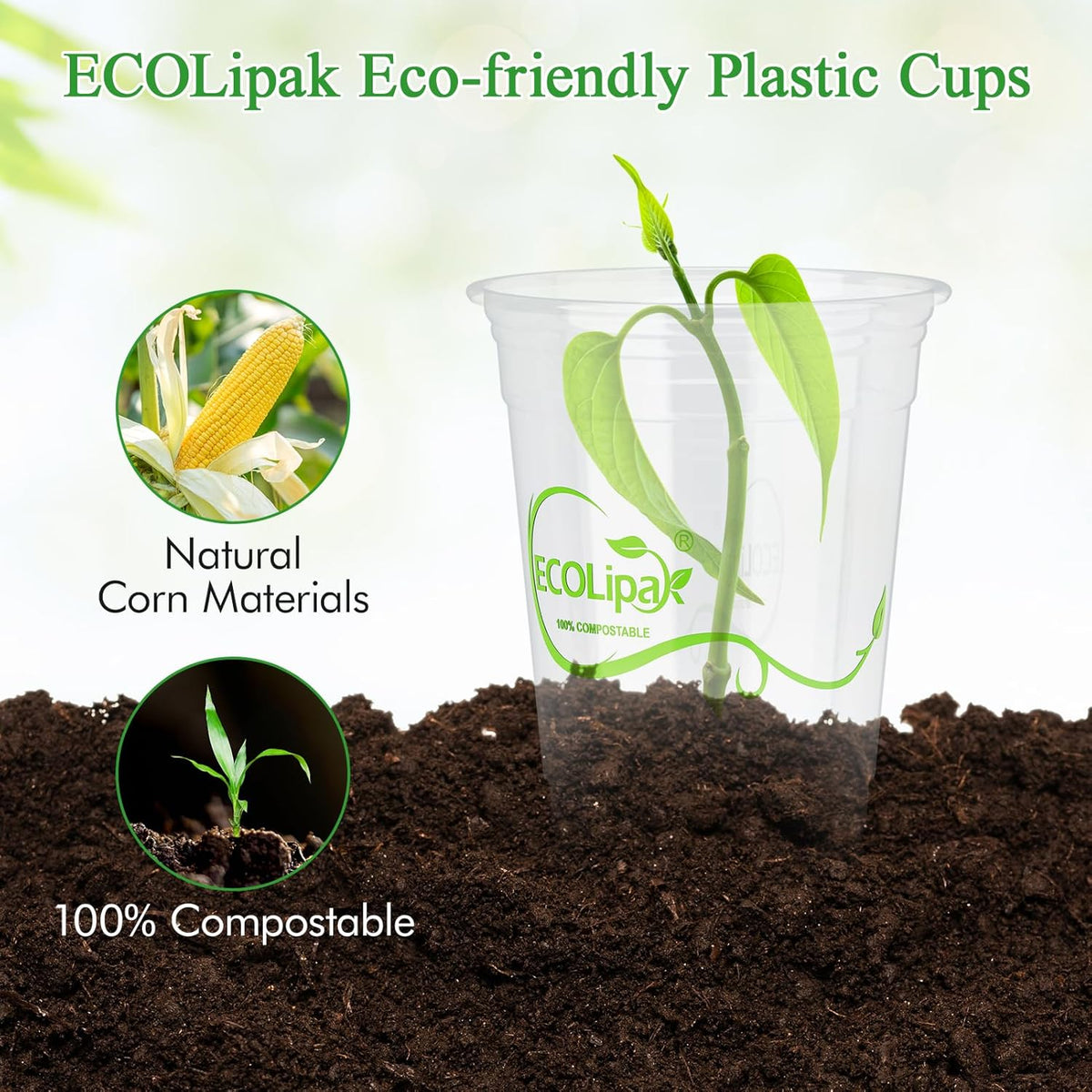 100 Count 12oz Clear Disposable Compostable Plastic Cups for Party