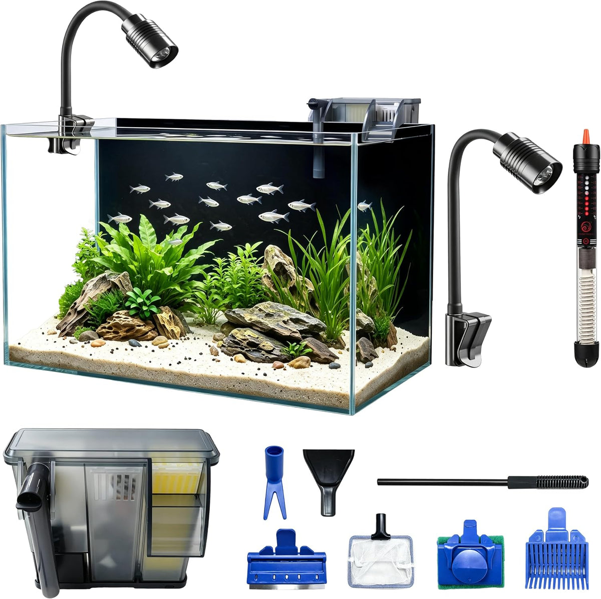 10 Gallon Small Fish Tank Glass Aquarium Complete Kit for Betta Fish