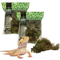 Deco Moss for Terrarium Habitats, Medium 2-Pack