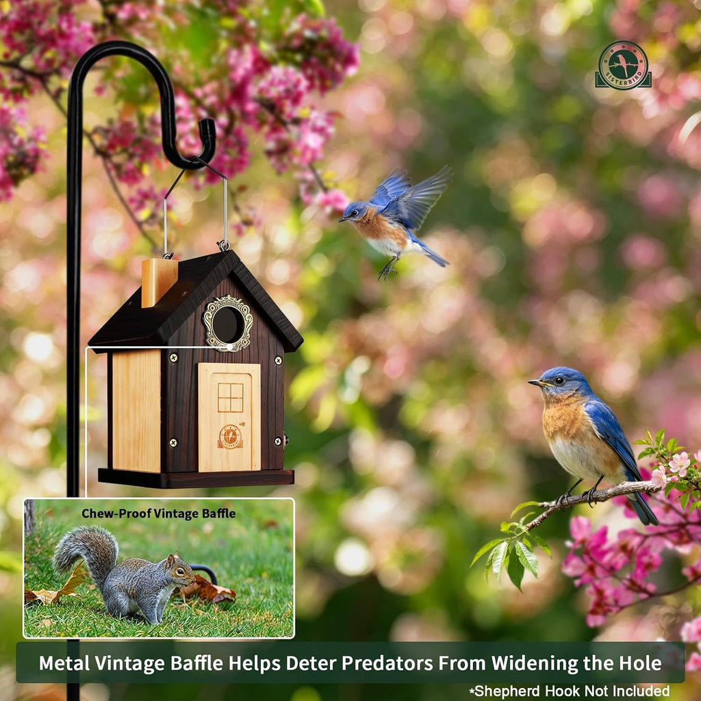 2 Pack Blue Bird Houses for Outside, Bird House Warming Gifts