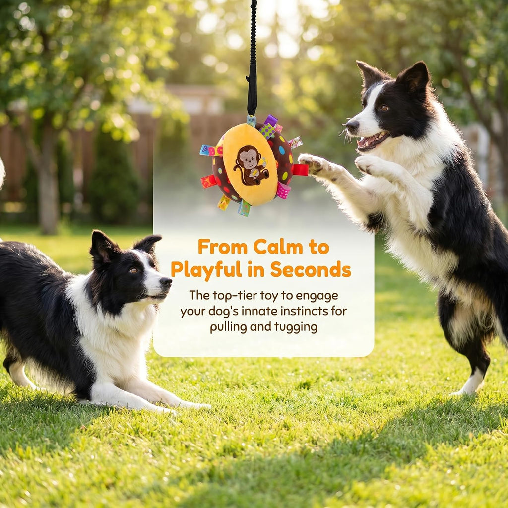 Colorful Squeaky Hanging Dog Training Toy with 60 inch Elastic Ropes Soft, 6-Inch Soft Stuffed Ball with Cotton