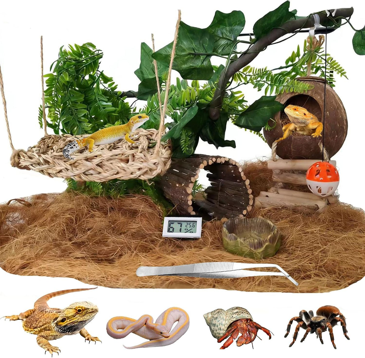 20-Piece Bearded Dragon Tank Accessories Set