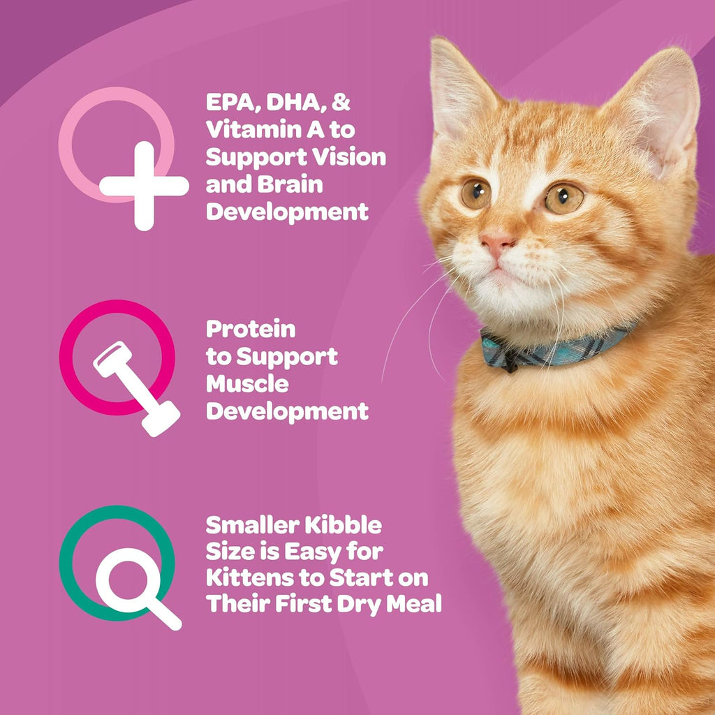 Kitten Essentials Chicken & Ocean Fish Dry Cat Food, 2.5 lb Bag