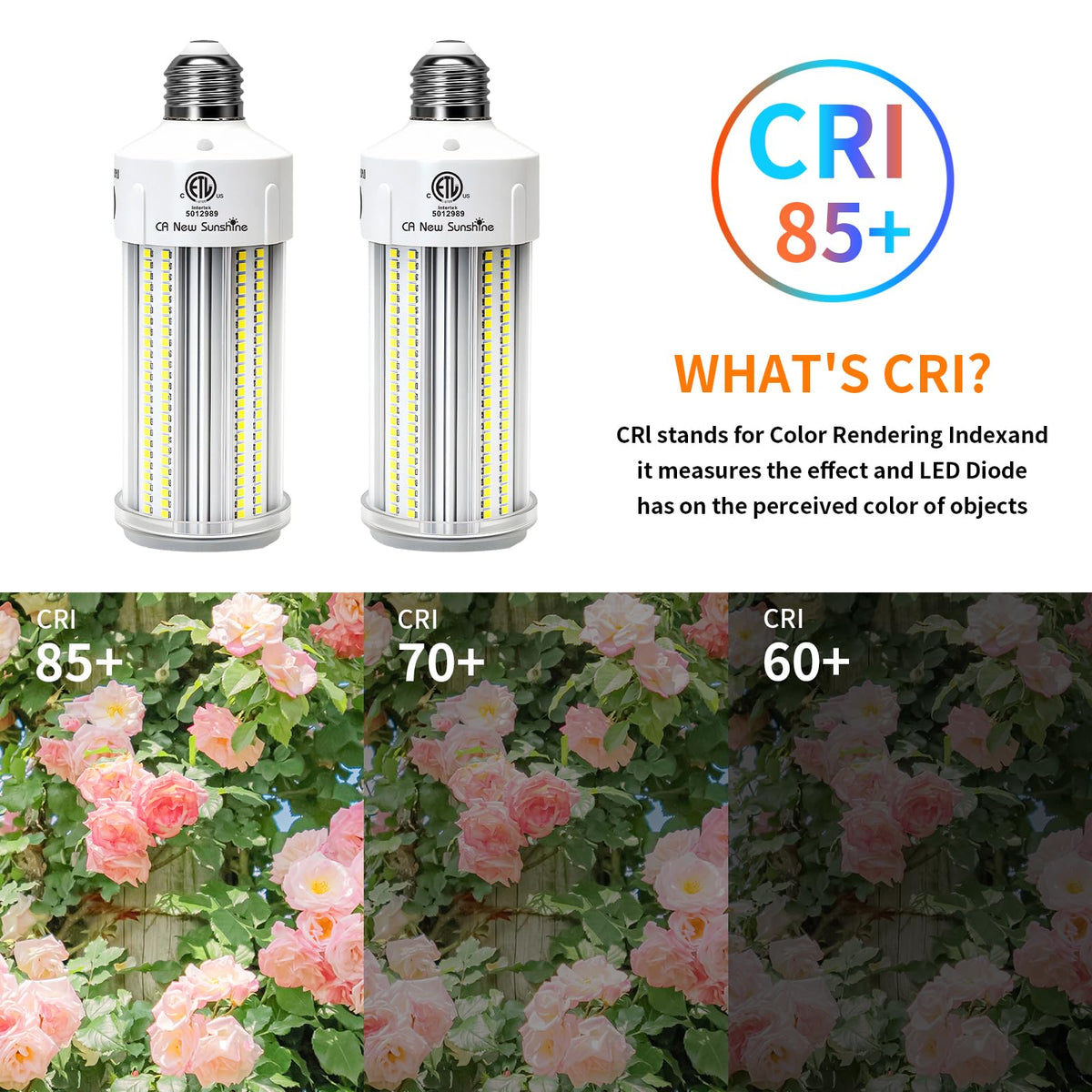 2 Pack 600W Equivalent LED Corn Light Bulb 9000 Lumen 5000K 60W Large Area Daylight White E26/E27 Medium Base for