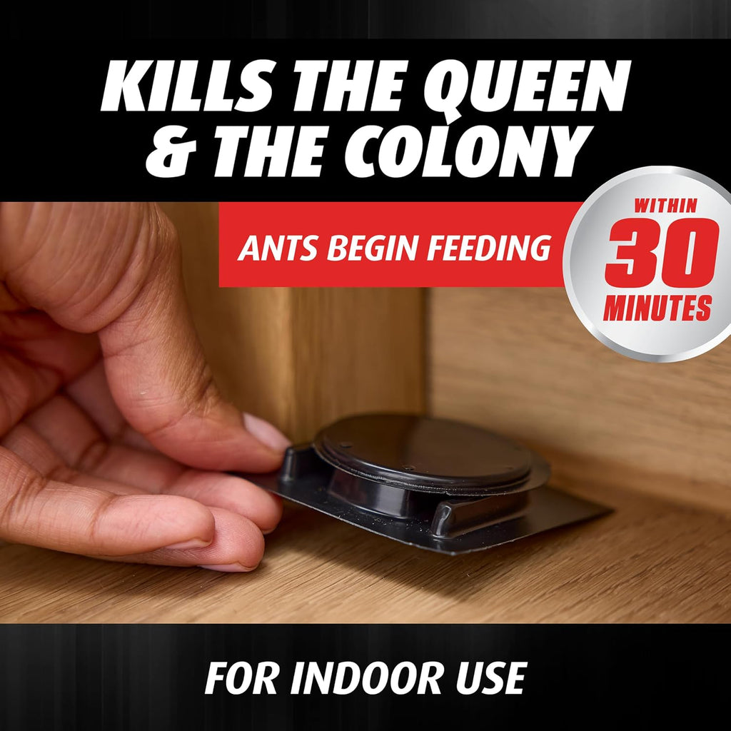 Orthene Ant Killer Ant Bait, 12 Bait Stations | Indoor Ant Killer, Kills the Queen and the Colony