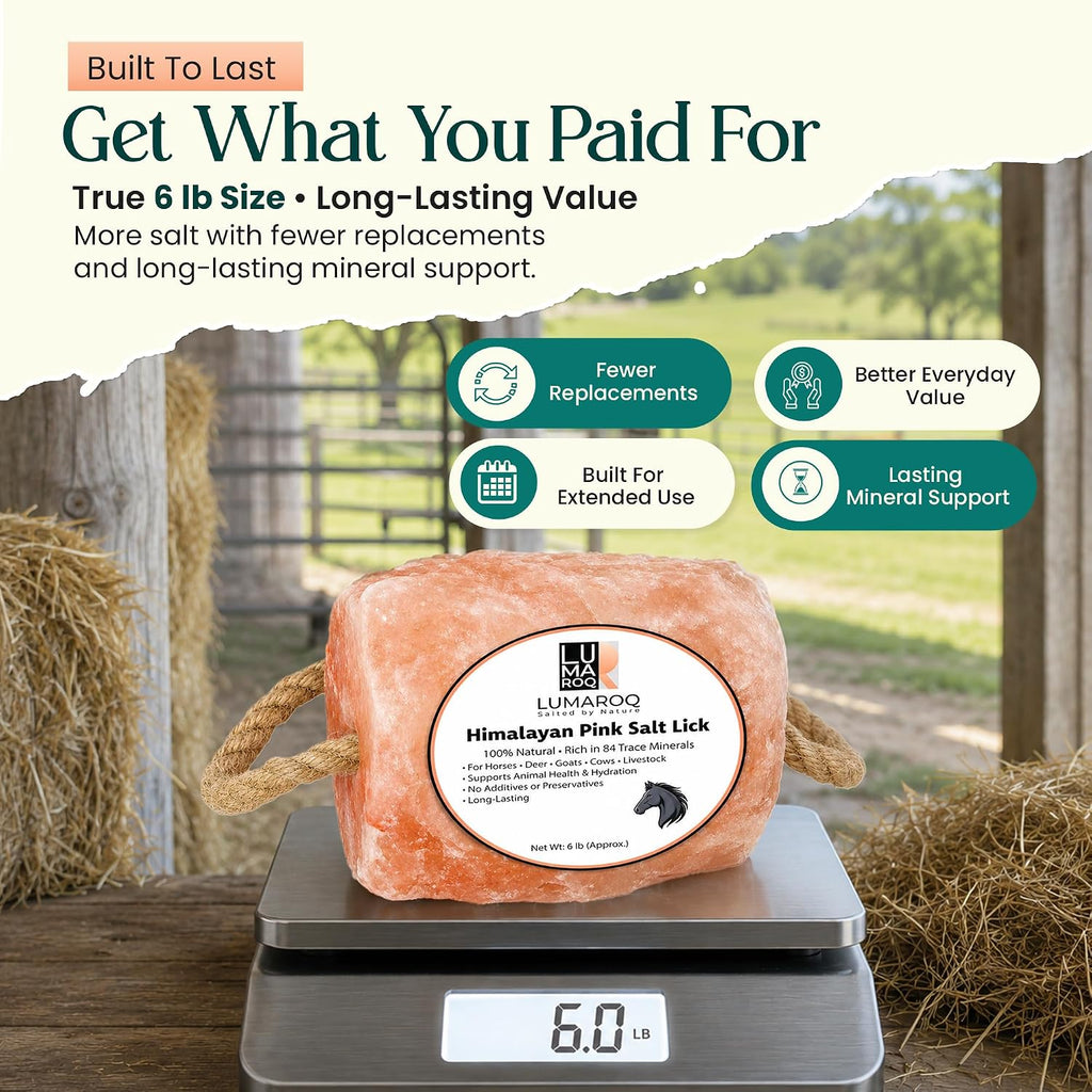 Himalayan Pink Salt Lick On Rope 6lbs for Horses, Deer, Goats & Livestock, Natural Mineral Salt Block with 84 Trace