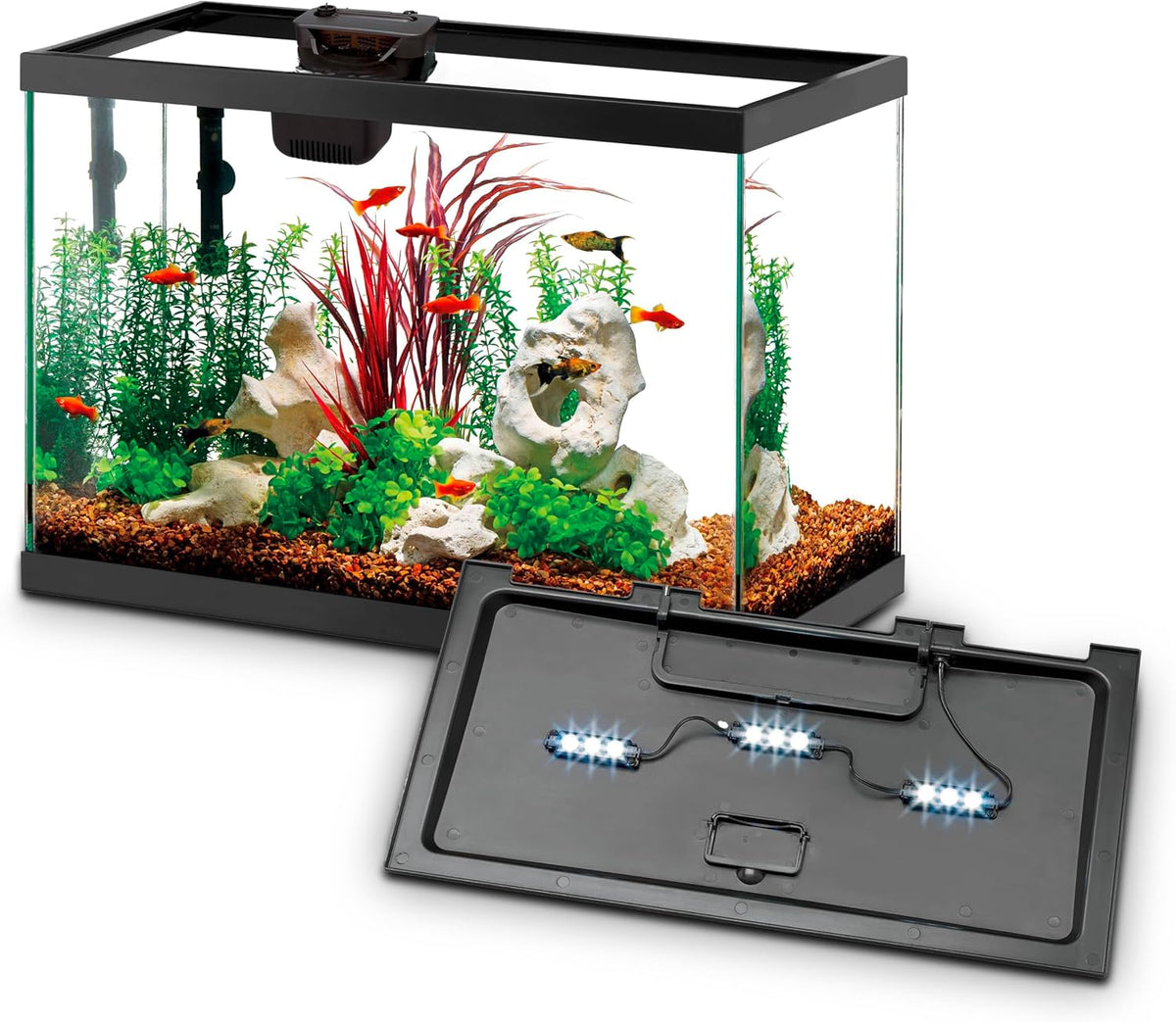 Aquarium Starter Kit with Smart Clean Filtration and LED Lighting, Freshwater and Saltwater Fish, Perfect for Tetras