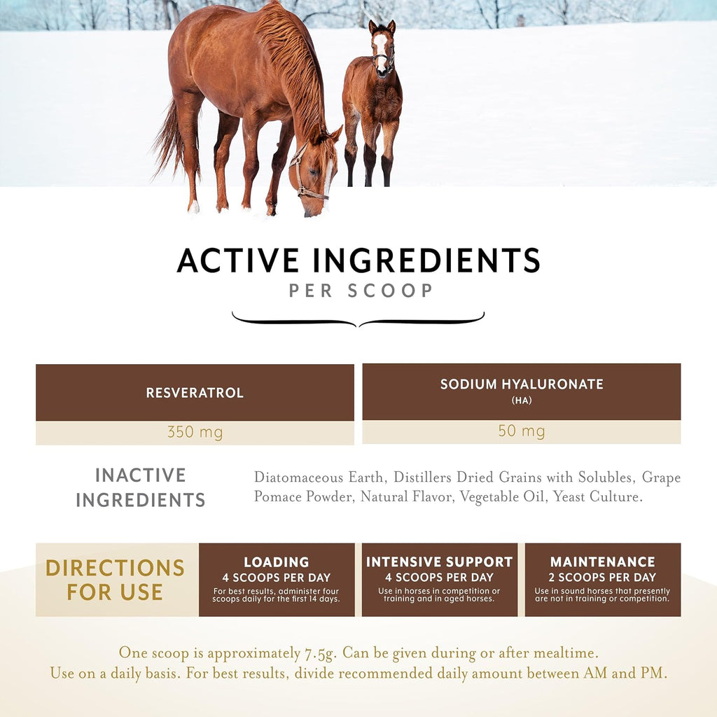 Original Joint Powder Horse Supplement, Molasses Flavor, 2 lbs