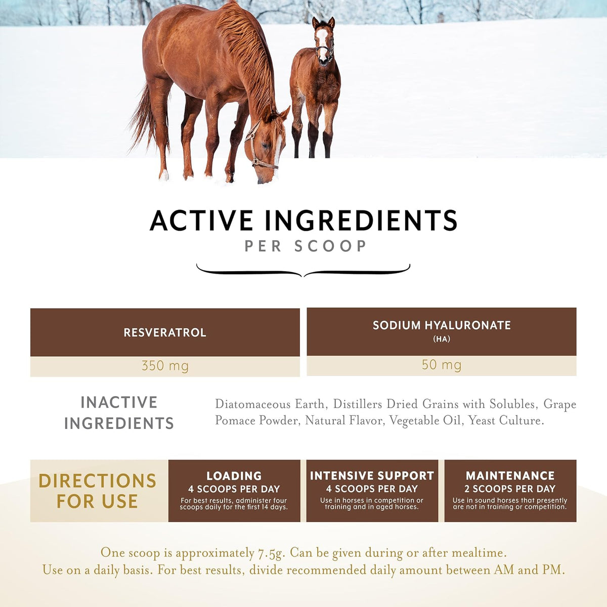 Original Joint Powder Horse Supplement, Molasses Flavor, 2 lbs