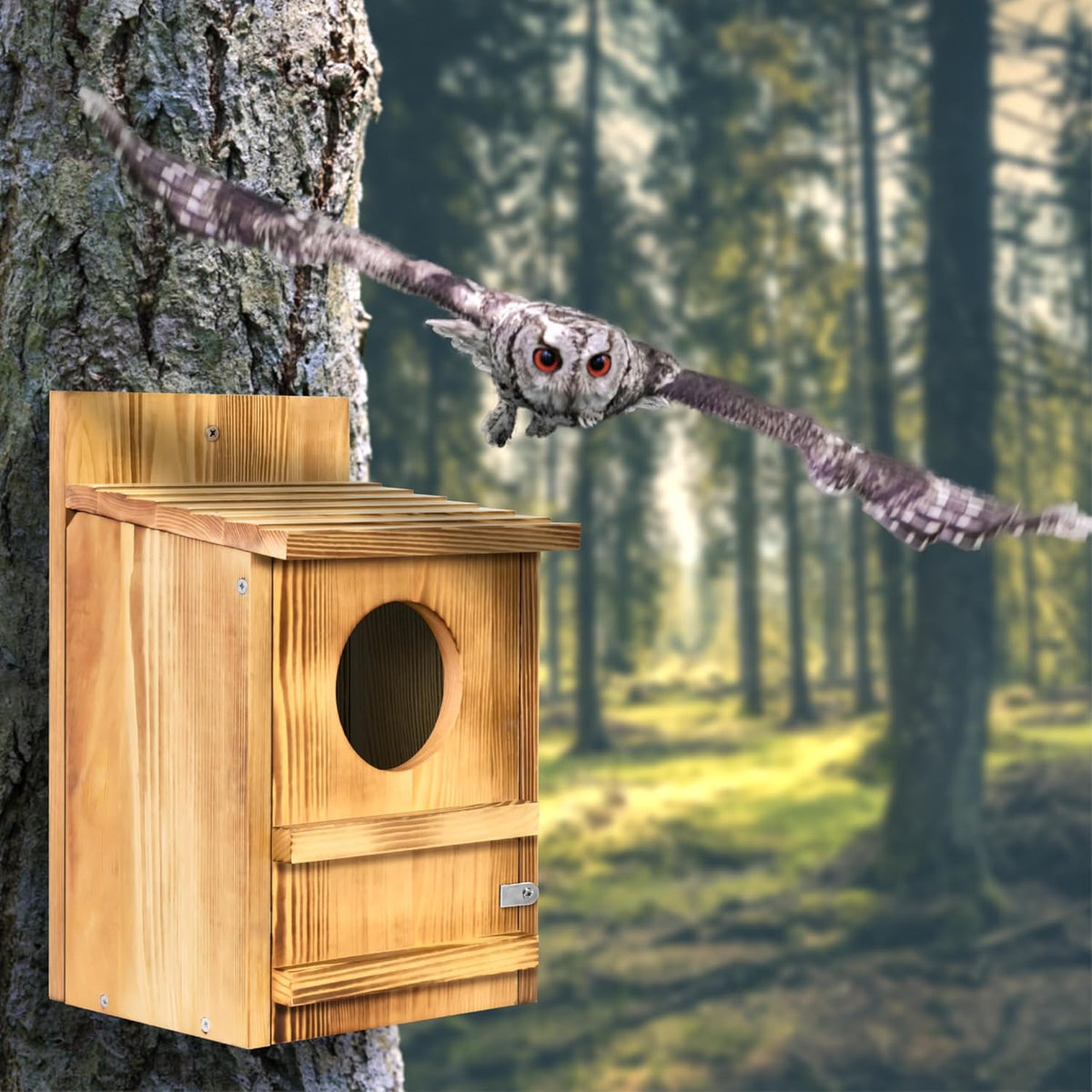 Screech Owl House, Large Wooden Circular Opening Screech Box for Outside