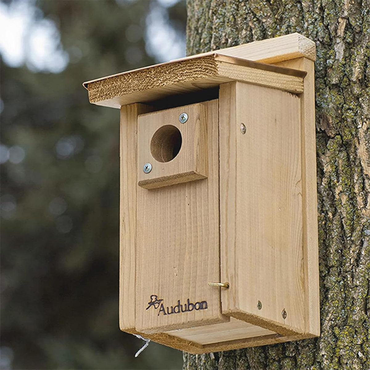 Audubon Coppertop Cedar Wood Bluebird House Model NACOPBB
